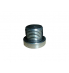 Allen plug. ZN124 B G1 "with seals